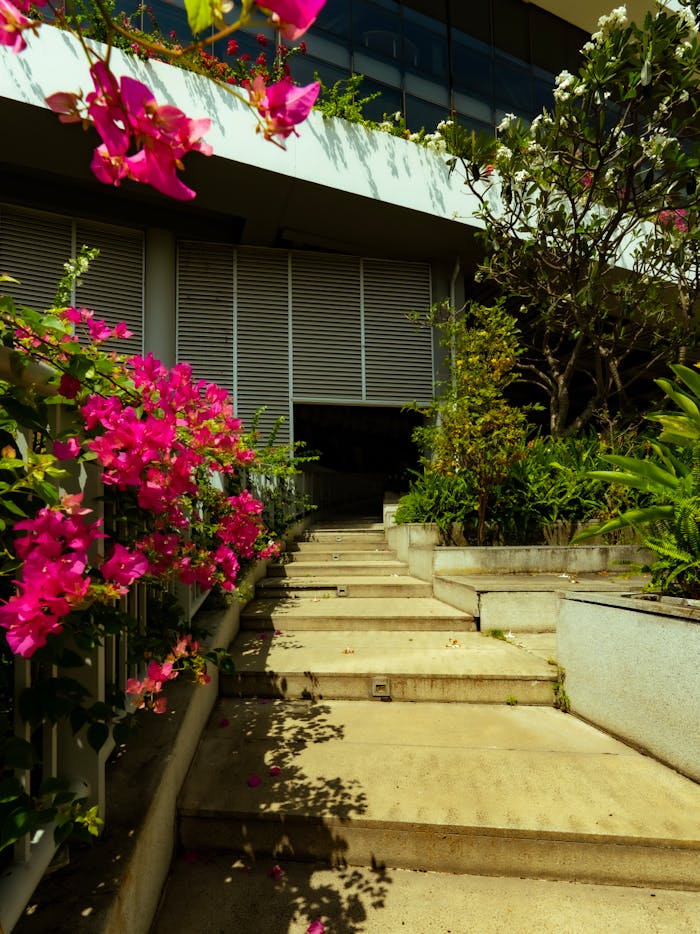 Colorful pink flowers enhance the modern architectural appeal of concrete steps leading to a building.