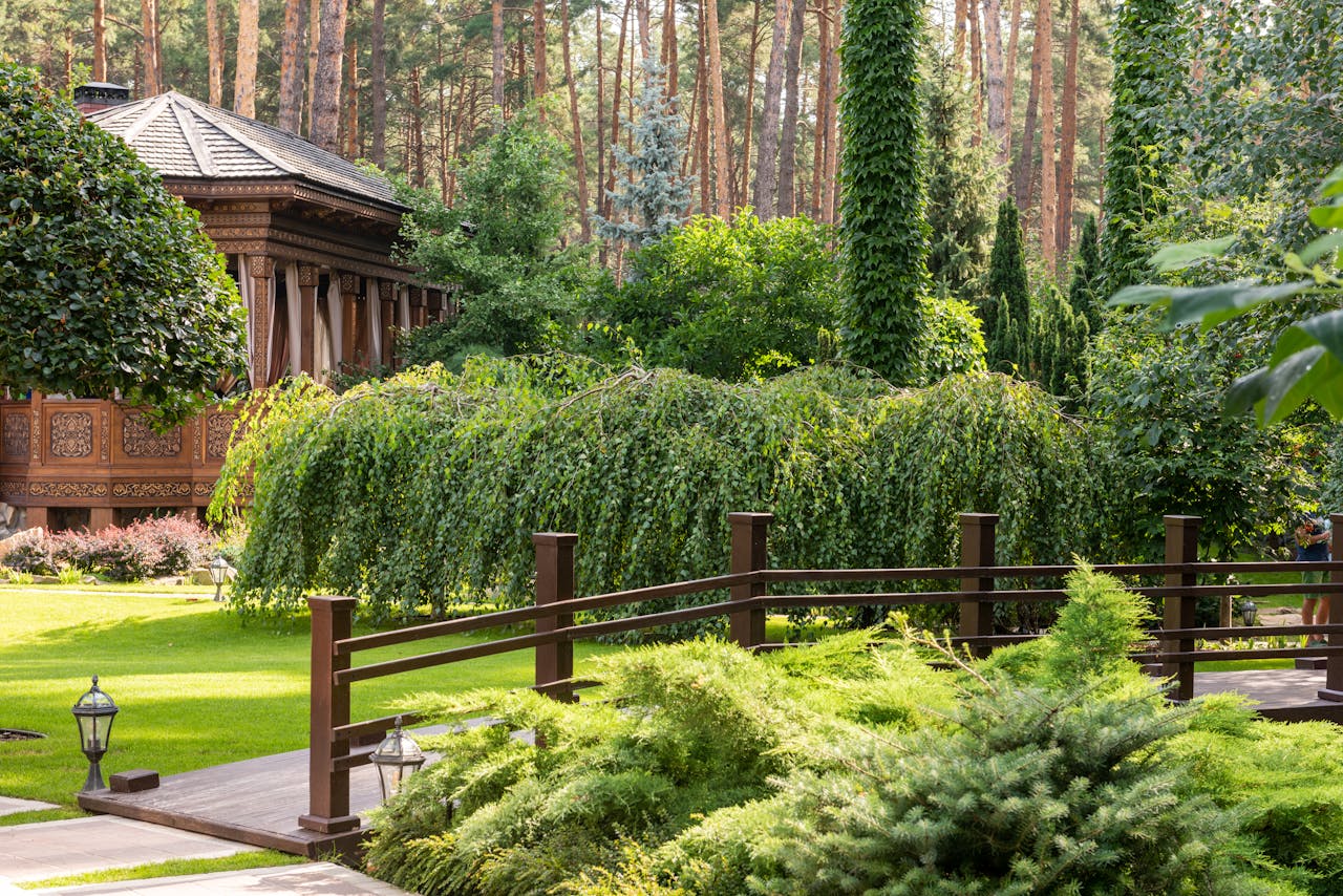 A peaceful garden featuring a wooden gazebo surrounded by lush green plants and trees in daylight.